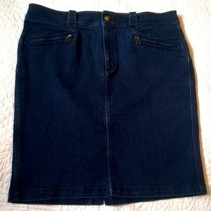 Dark Wash Denim Skirt